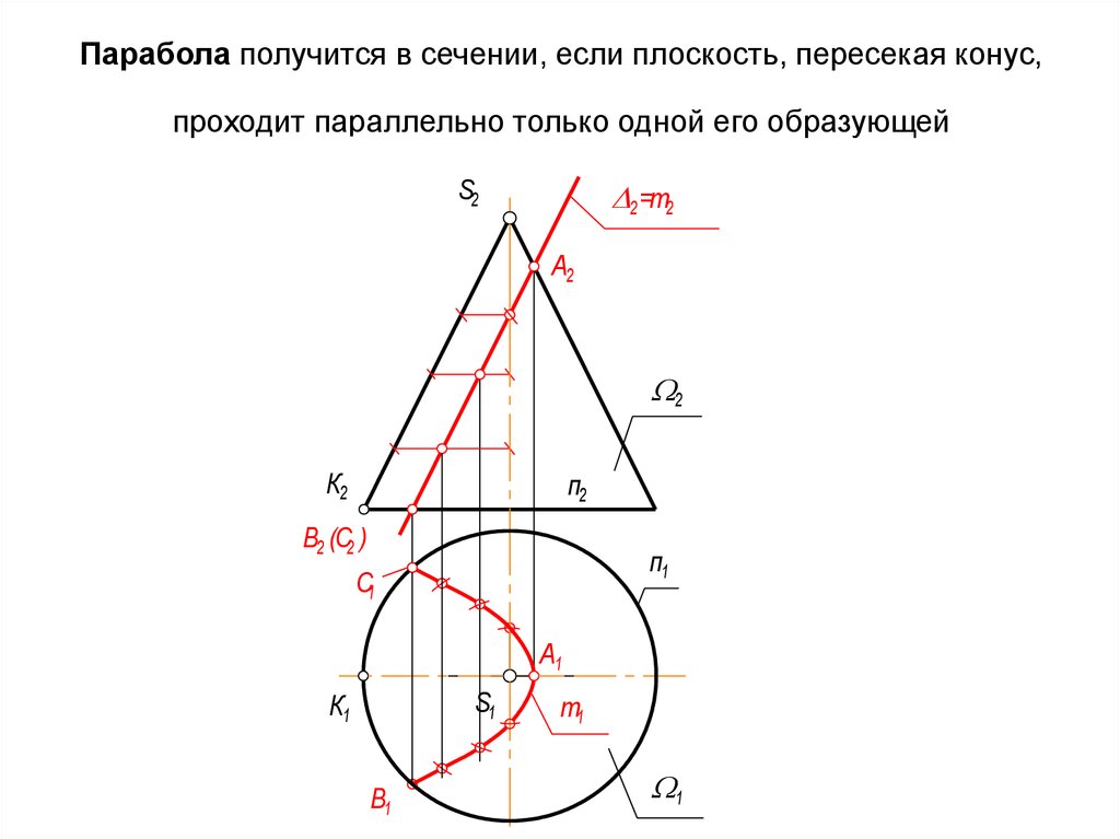 Сечение конуса параллельно основанию