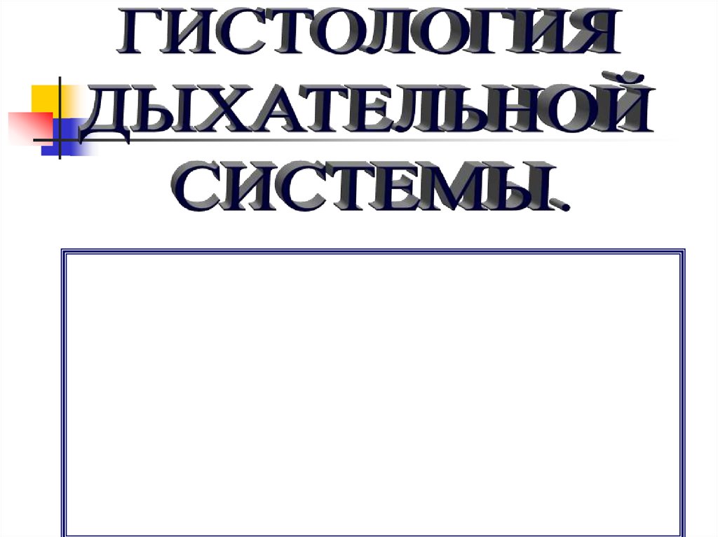 Презентация гистология дыхательной системы