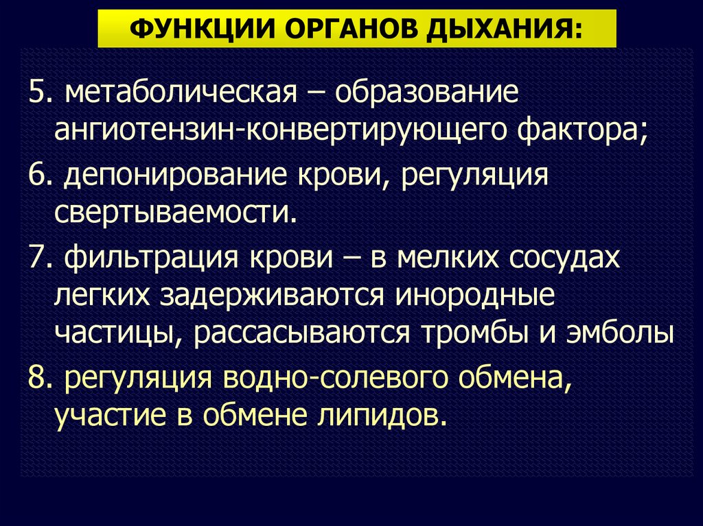 Презентация гистология дыхательной системы