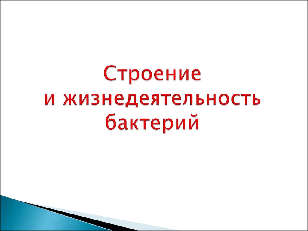 Строение и жизнедеятельность бактерий - презентация онлайн