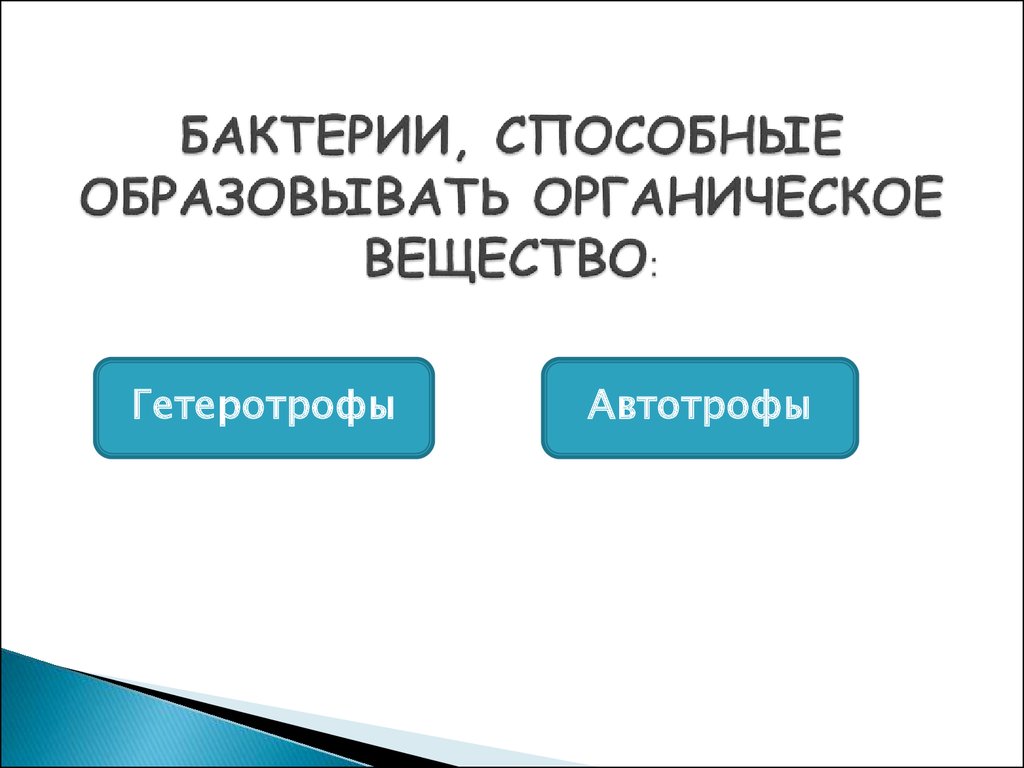 Бактерии способные образовывать органические вещества из неорганических