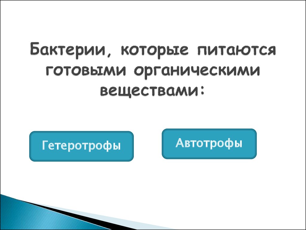 Бактерии питающиеся органическими веществами отмерших организмов это