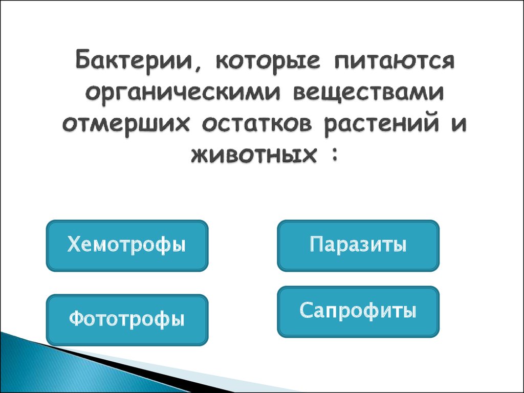 Бактерии питающиеся органическими веществами отмерших организмов это. Бактерии которые питаются органическими веществами. Микроорганизмы которые питаются органическими веществами. Микроорганизмы питающиеся отмершими органическими остатками. Микроорганизмы, питающиеся отмершими органическими веществами:.