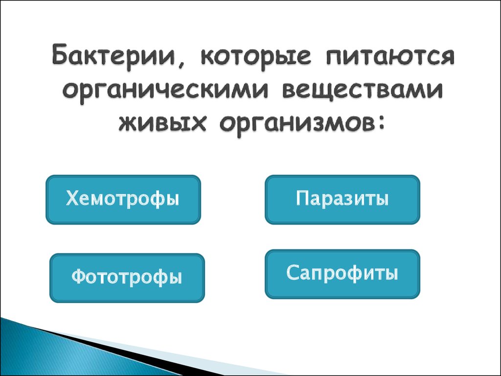 Бактерии питающиеся органическими веществами. Питаются органическими веществами живых организмов. Организмы, питающиеся органическими веществами живых организмов.. Как называются бактерии которые питаются органическими веществами.