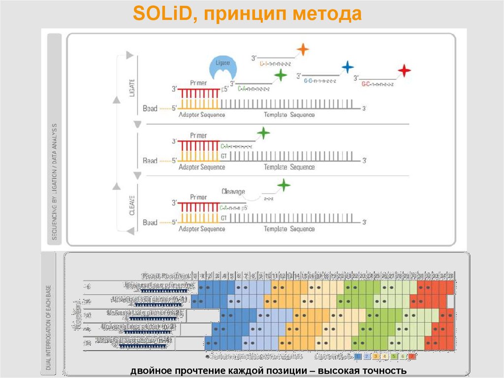 Примеры диаграмм классов иллюстрирующих выполнение каждого принципа solid