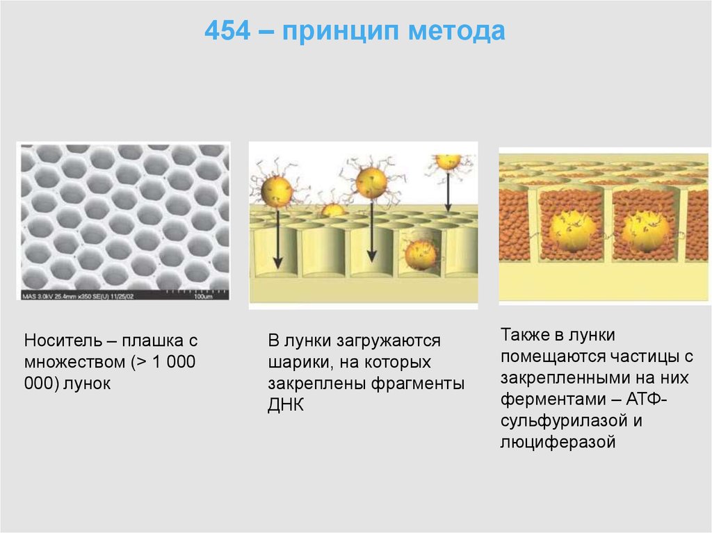 Принцип метода. Пиросеквенирование картинки для презентации. Миросеквинирование принцип метода. Схема представляет рабочий принцип пиросеквенирования. Метод лунок преимущества.