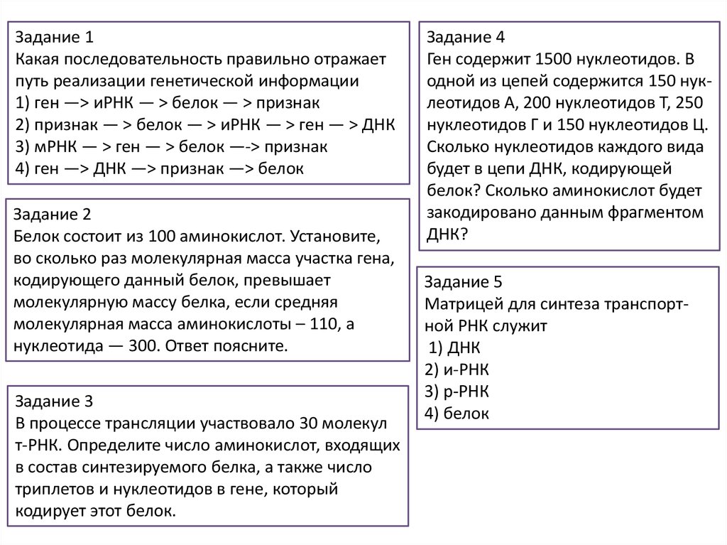 Схема реализации генетической информации в клетке. Схема реализации наследственной информации. Схема реализации наследственной информации. Этапы реализации генетической информации в клетке. Последовательность правильно отражающая путь реализации генетической информации.