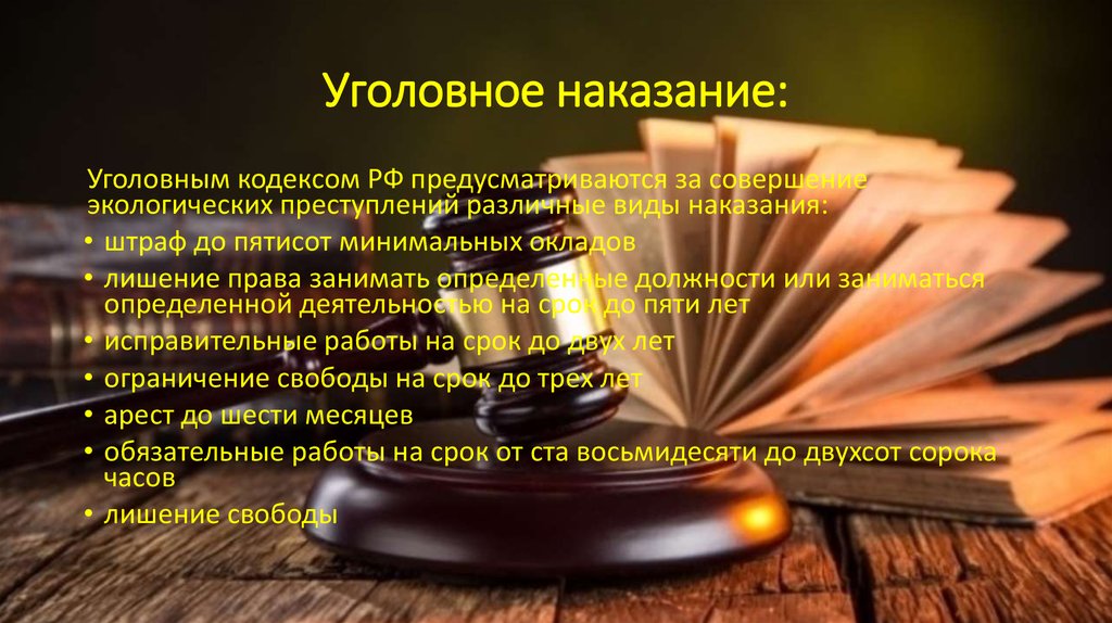 Уголовная ответственность за экологические правонарушения. Наказания за экологические преступления. Экологические правонарушения УК РФ. Экологические преступления по УК РФ. Уголовная ответственность экологические преступления.