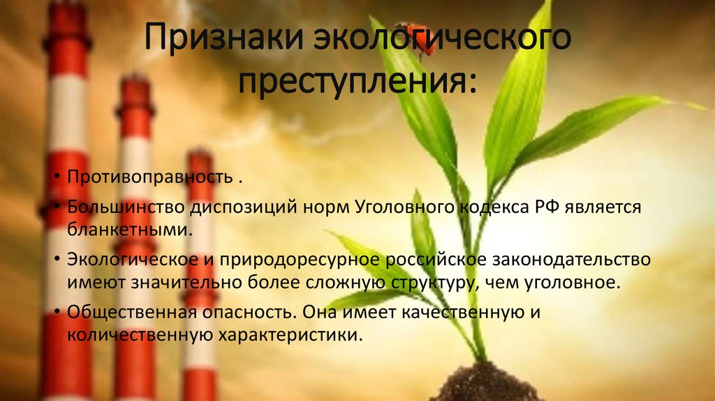 Экологические признаки. Признаки экологических преступлений. Признаки экологического правонарушения. Экологические преступления презентация. Признаки экологической преступности.