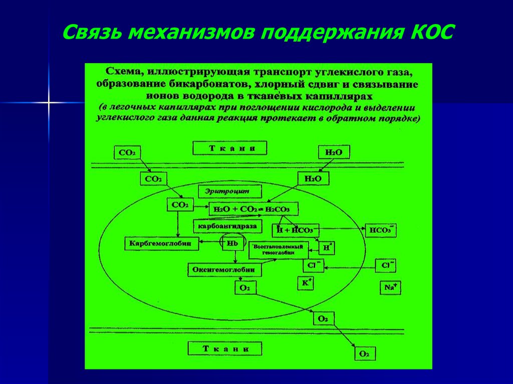 Механизмы поддержания. Механизм связи. Механизмов поддержания связи. Система поддержания кос. Схема поддержания кос.