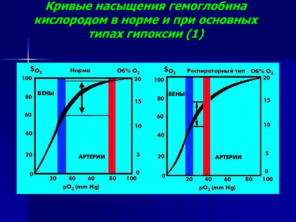 Схема насыщения крови кислородом