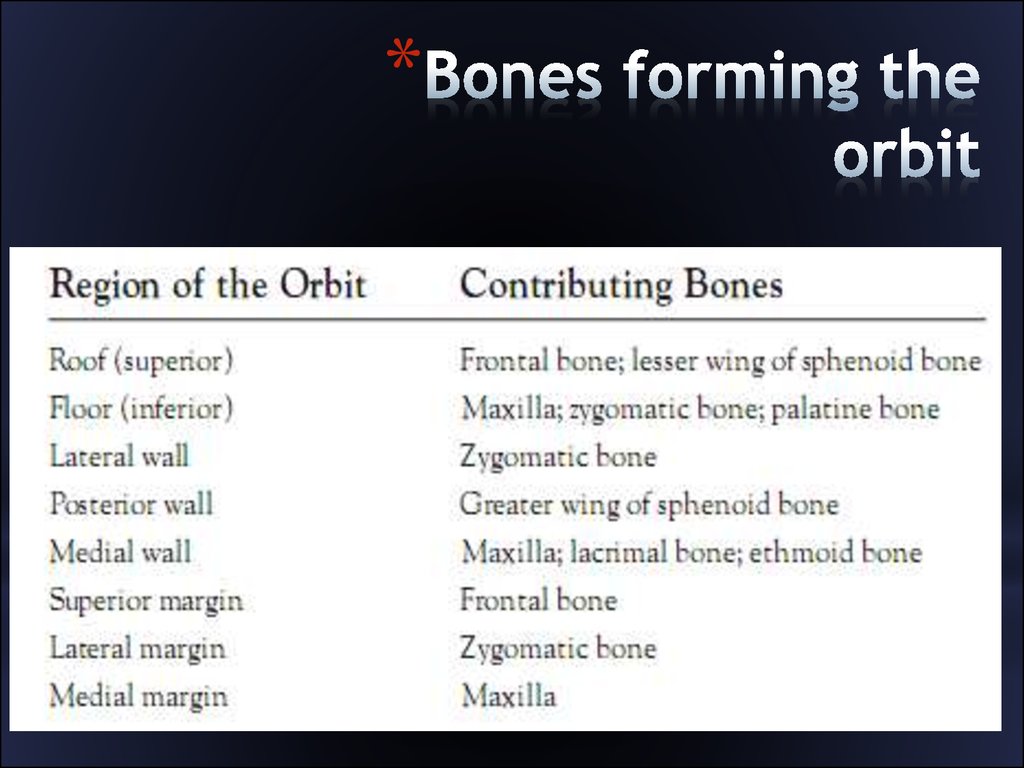 The bones form