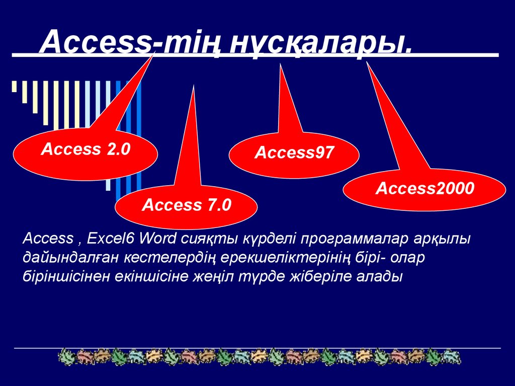 Access-тің нұсқалары.