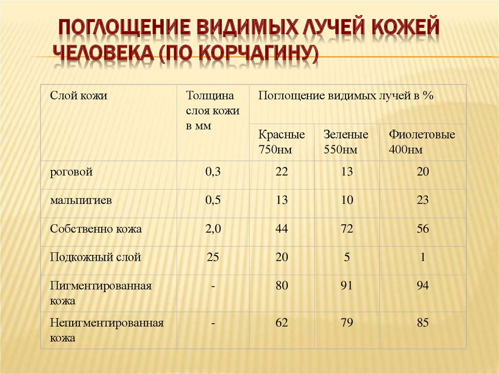 Толщина кожи. Толщина слоев кожи человека. Толщина слоев кожи в мм. Толщина слоев кожи у детей достигает показателей взрослого человека. Толщина кожи взрослого человека.