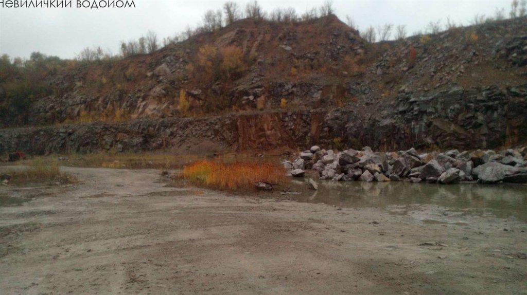 Невиличкий водойом