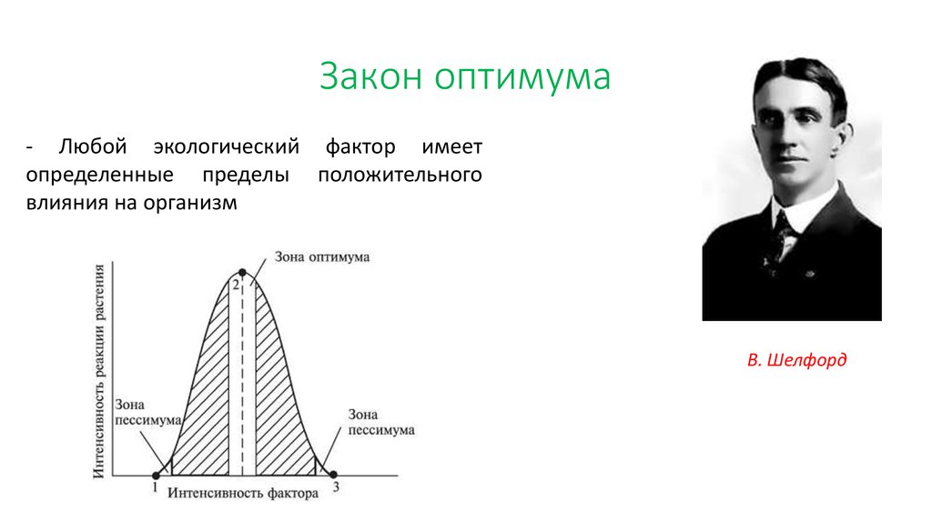 Закон оптимума рисунок