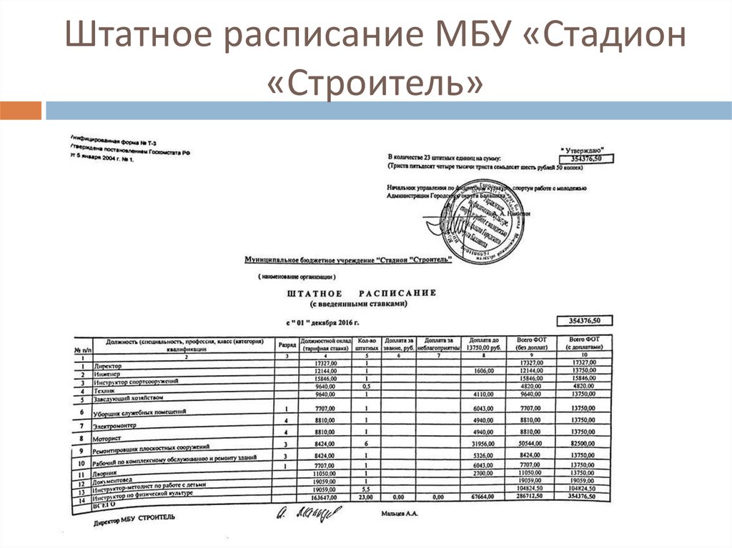 Штатное расписание на 2020 год образец. Штатное расписание физкультурно-оздоровительного комплекса. Штатное расписание спортивного комплекса. Штатное расписание спортивного комплекса образец. Штатное расписание стадиона с трибунами.