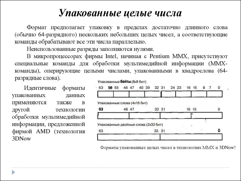 Типы операндов в системе команд процессора основные форматы числовых данных