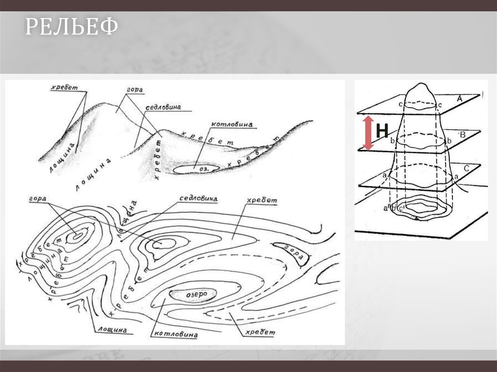 Изображение рельефа на топографических планах и картах. Гора котловина хребет Лощина седловина изображение. Рельеф карты по спортивному ориентированию. Ориентирование по рельефу. Ориентировка по рельефу.