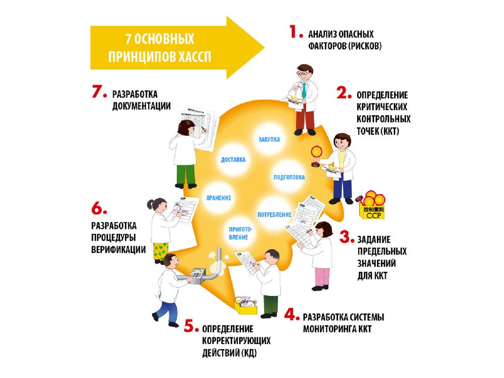 Схема пищевого производства по хассп