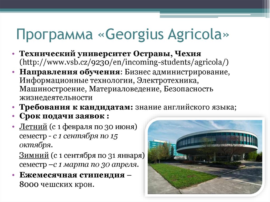 Программа «Georgius Agricola»