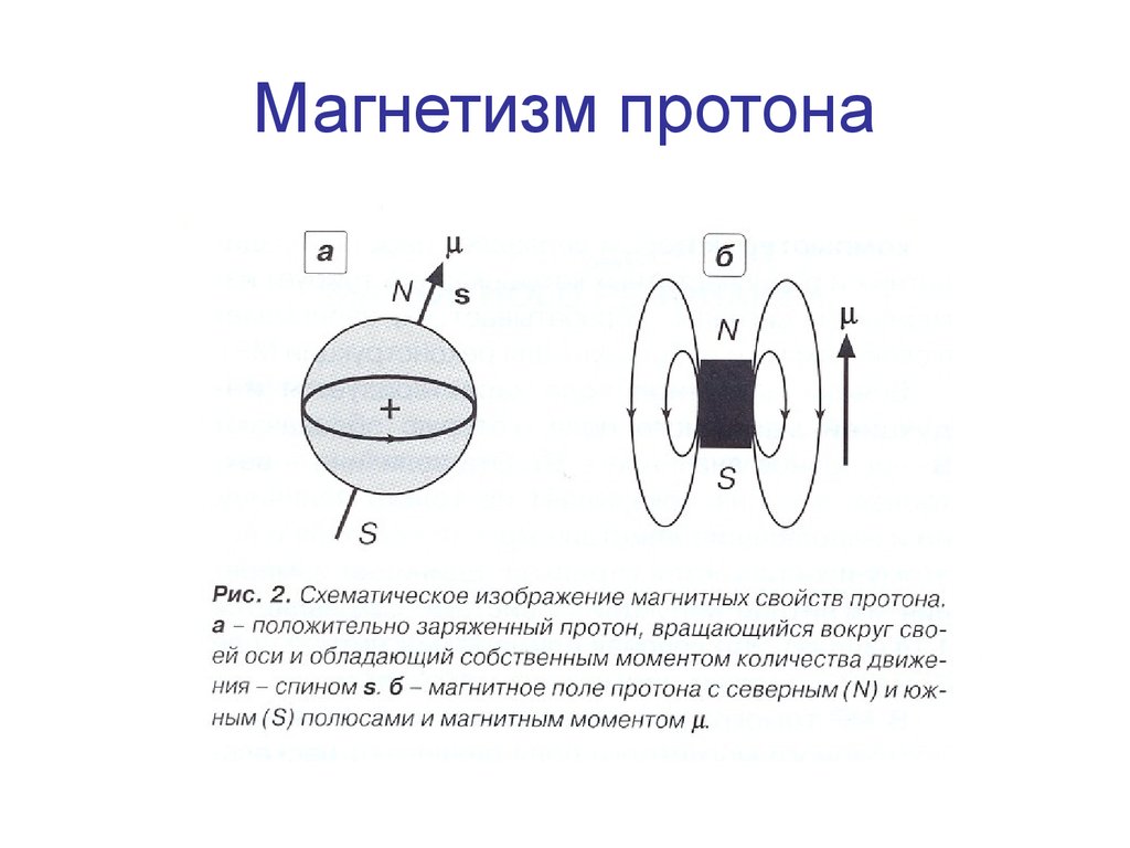 Протон в магнитном. Магнитно-резонансную томограмму изображение. ЯМР томография принцип работы. Магнитное поле мрт. ЯМР томограф схема.