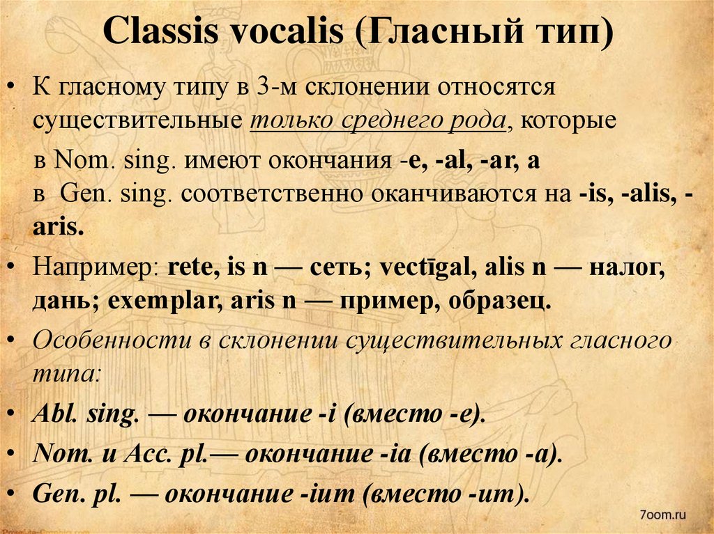 Classis vocalis (Гласный тип)