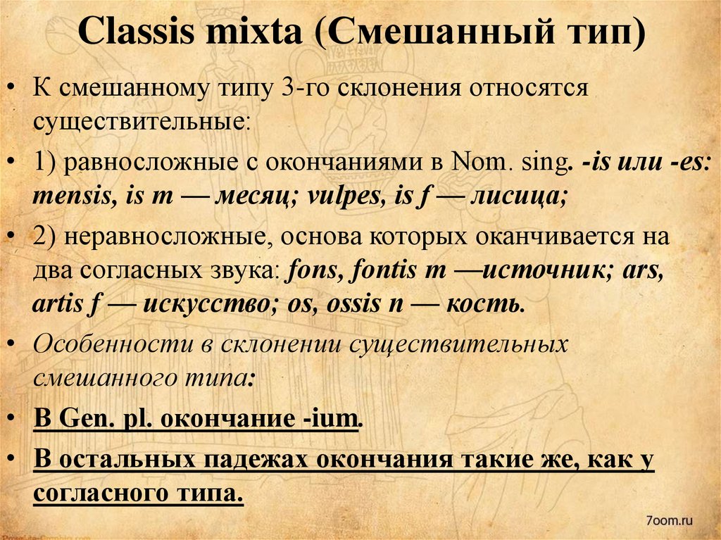 Classis mixta (Смешанный тип)