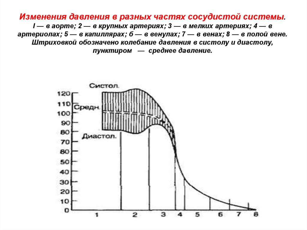 Смена давления. Кровяное давление в различных участках сосудистого русла. Среднединамическое давление в различных участках сосудистой системы. Падение давления в различных отделах сердечно сосудистой системы. Изменение давления в сосудистом русле.