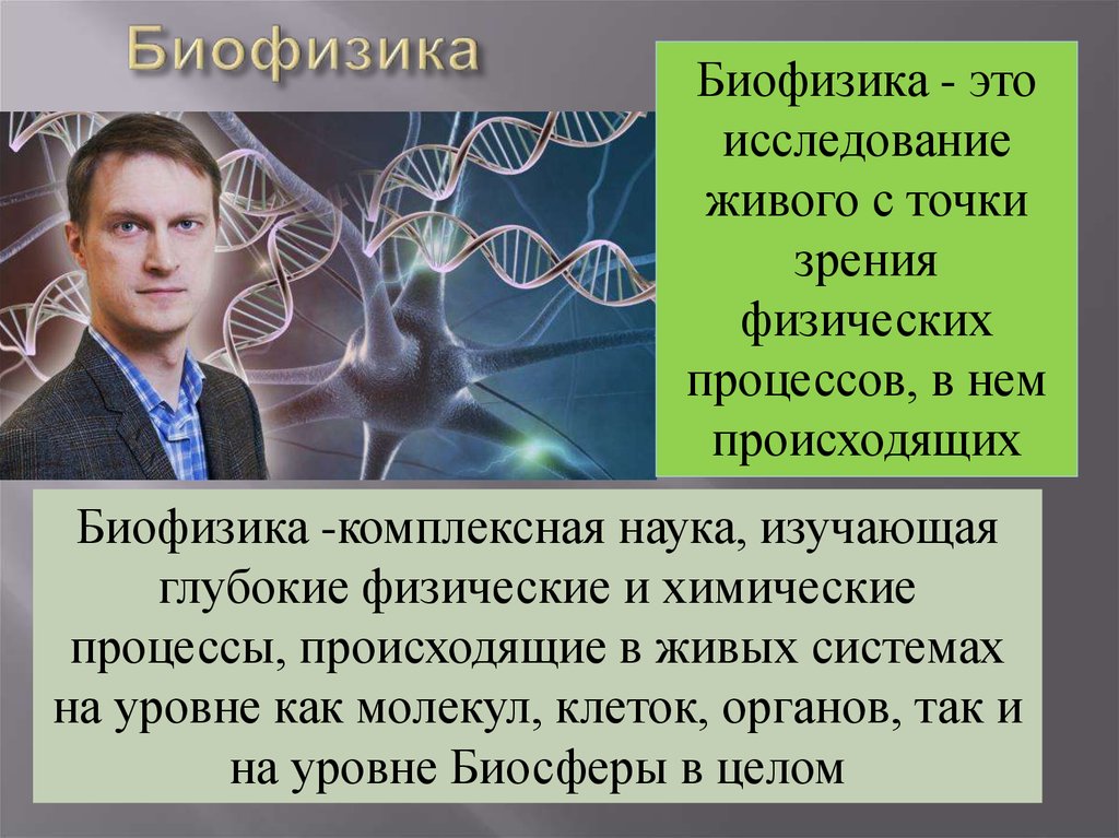 Биофизика сайт. Биофизика. Биофизика человека. Биофизика это наука. Биофизик профессия.