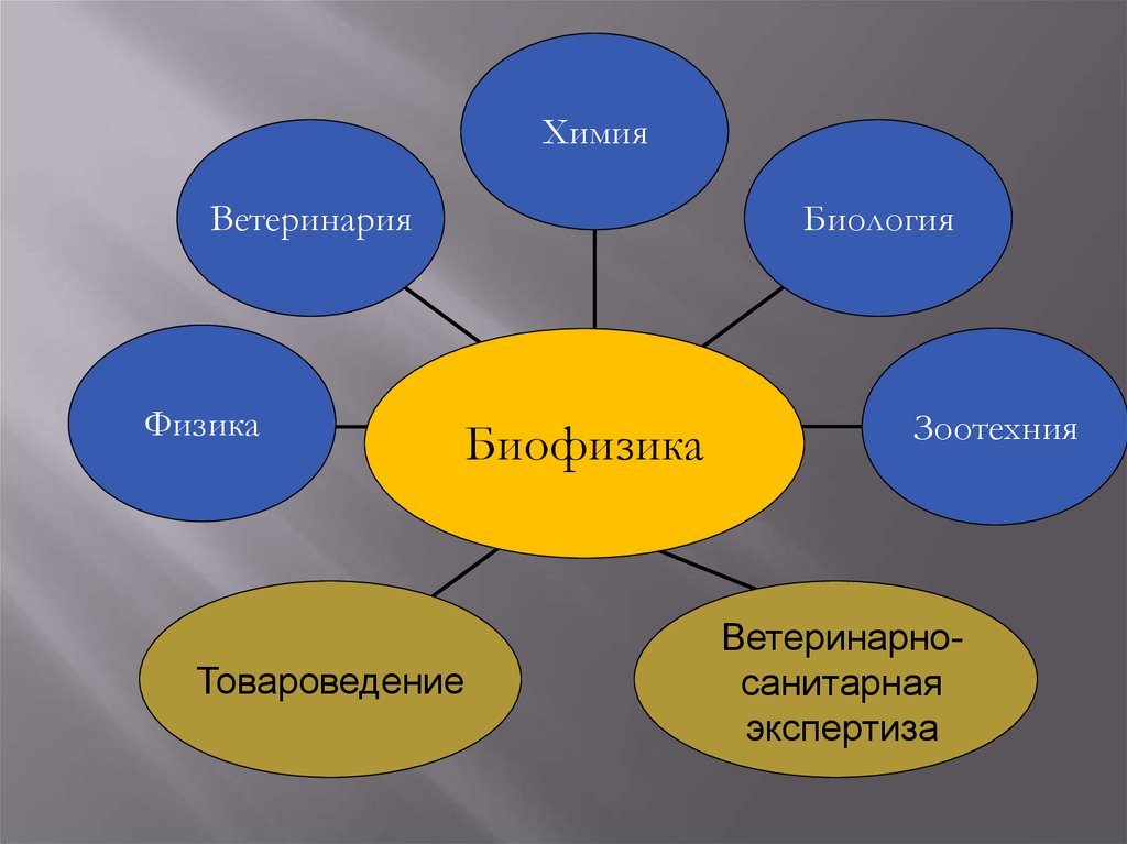 Биофизика человека. Биофизика. Связь биофизики с другими науками. Биофизика презентация.