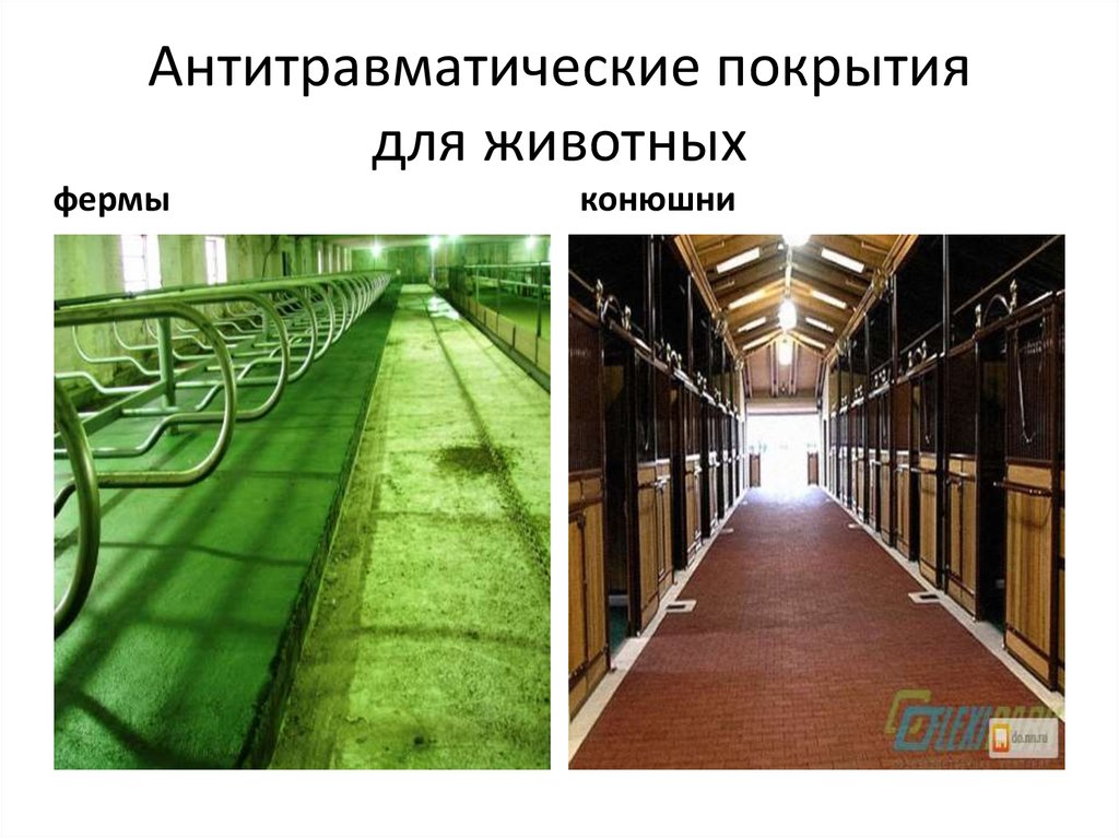 Антитравматические покрытия для животных