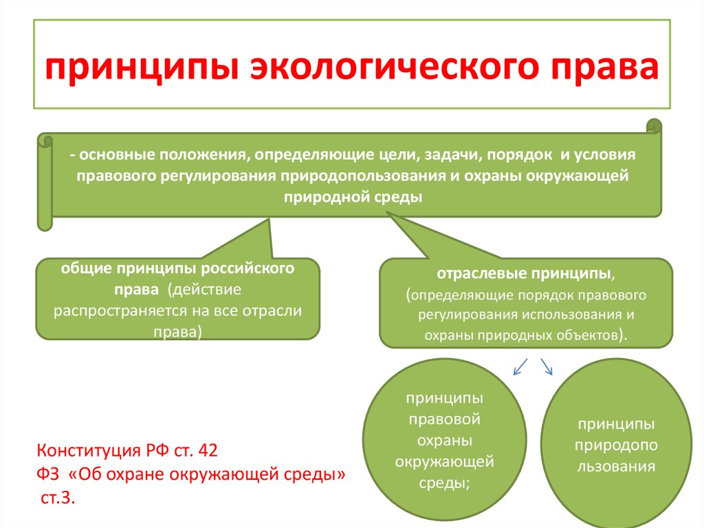 Принципы окружающей среды. Принципы экологического права Общие и отраслевые. Классификация принципов экологического права. Принципы экологического права понятие. Перечислите принципы экологического права.