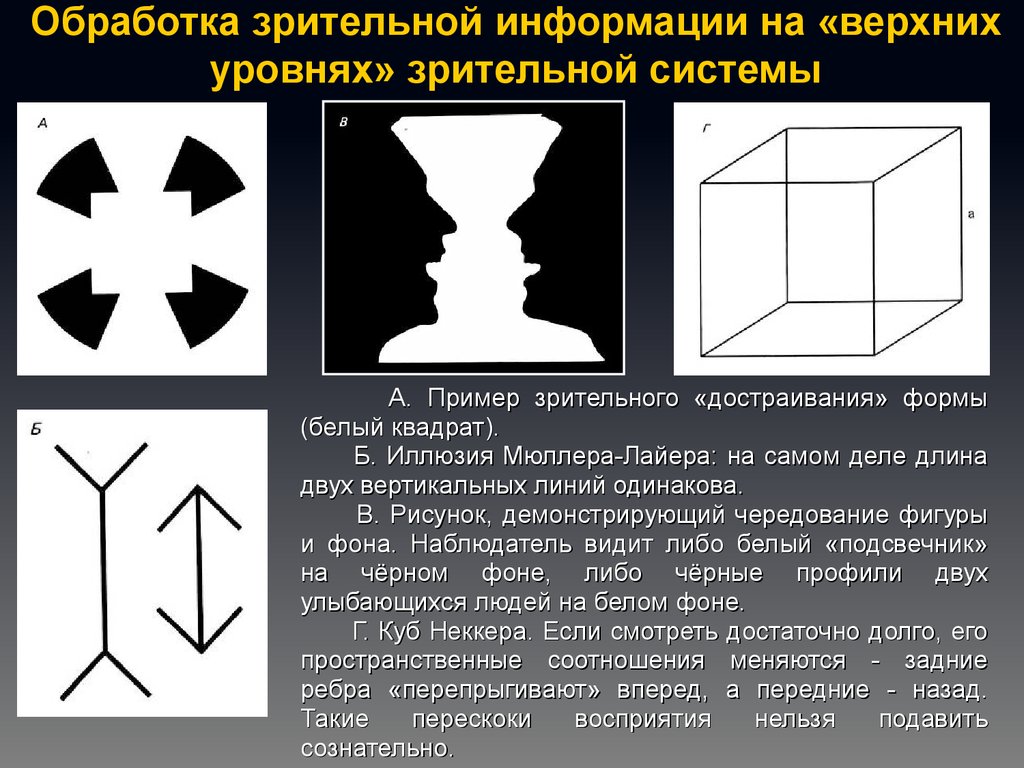 Зрительная информация