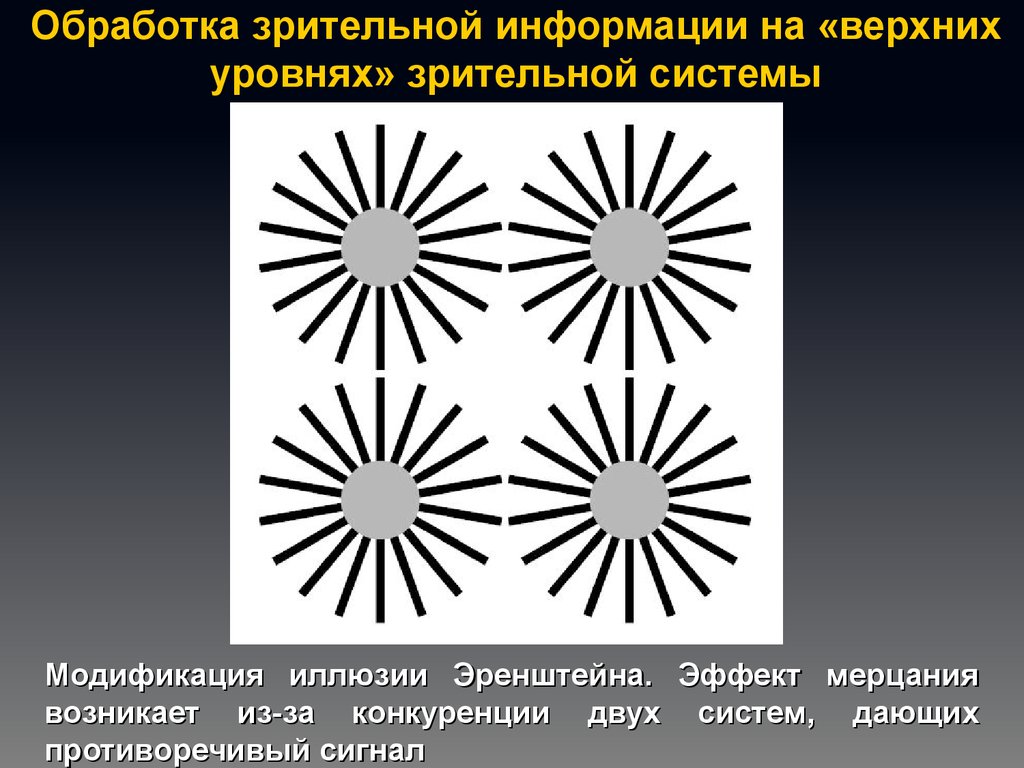 Обработка зрител Ной информации. Переработка зрительной информации. Уровни переработки зрительной информации. Обработка зрительной информации стадии. Переработка информации в зрительной коре