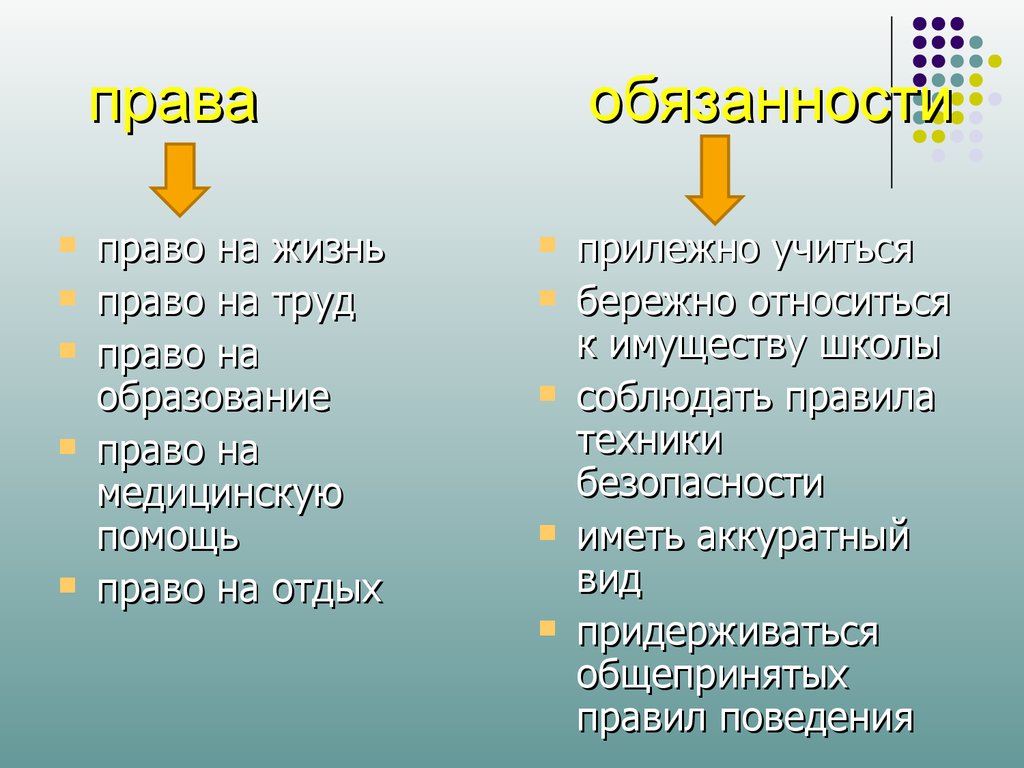 Право на жизнь относится. Права и обязанности туриста. Обязанности туриста. Права обязанности и ответственность туриста. Правовые обязанности туриста.