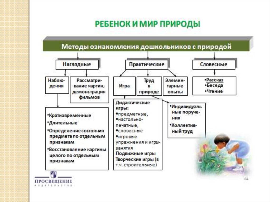 Приемы развития ребенка. Методы ознакомления дошкольников. Методы экологического образования дошкольников. Ознакомление дошкольников с природой. Методы экологического воспитания дошкольников.