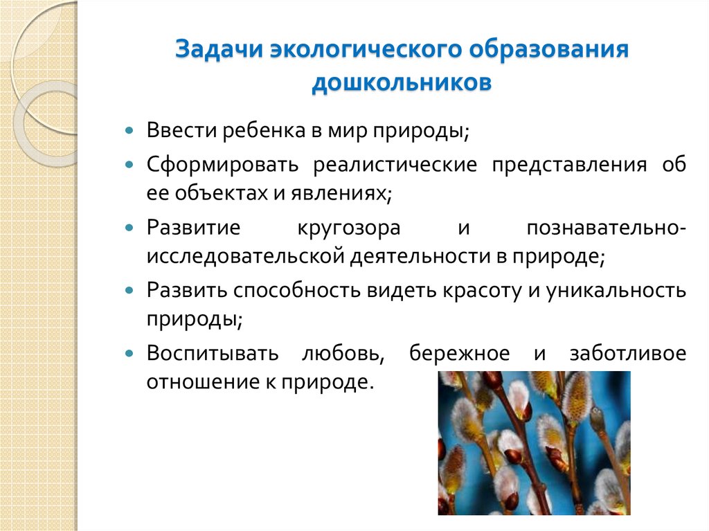 Задачи дошкольного возраста. Задачи экологического образования дошкольников. Задачи экологического образования детей дошкольного возраста. Цель и задачи экологического образования дошкольников. Цели и задачи экологического воспитания дошкольников.