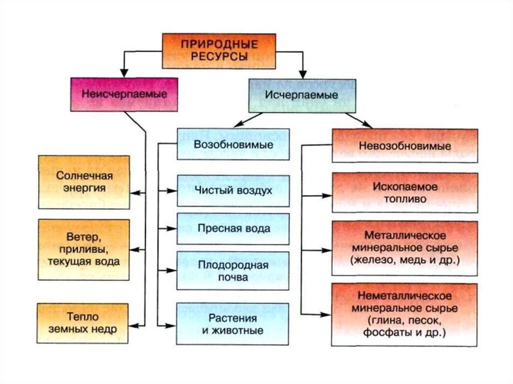 Человек обитает в значительно преобразованной или даже искусственной среде составьте схему