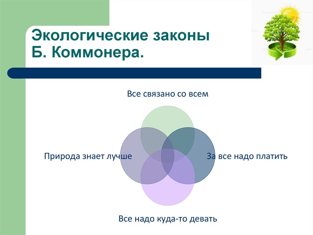 Как называется закон экологии который он иллюстрирует