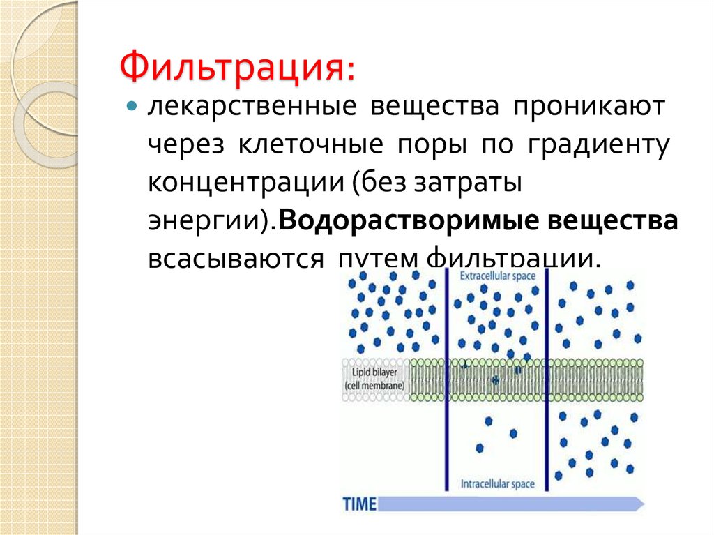 Фильтрация определение