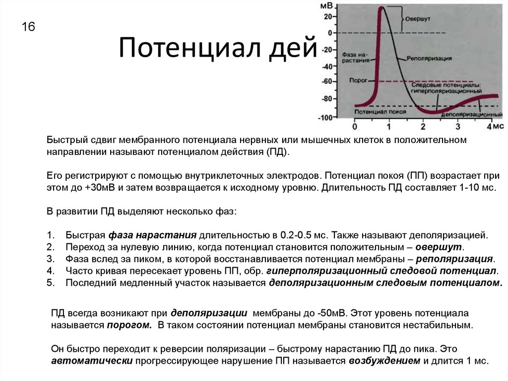 Развитие потенциала команды