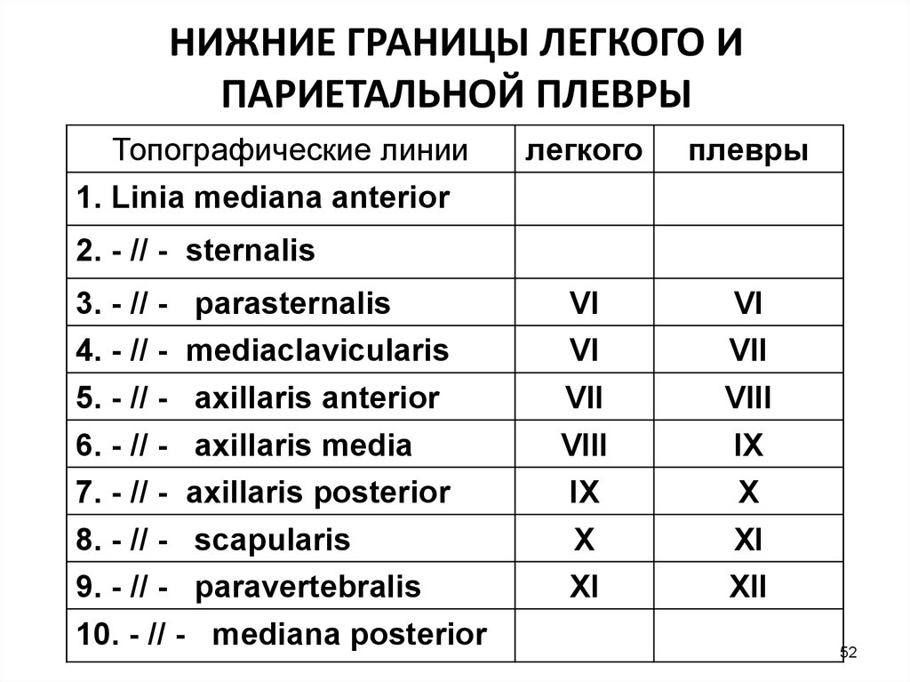 Легкие таблица. Границы легких и плевры. Границы лёгкого и плевры таблица. Нижние границы плевры таблица. Границы легких и плевры методика определения.