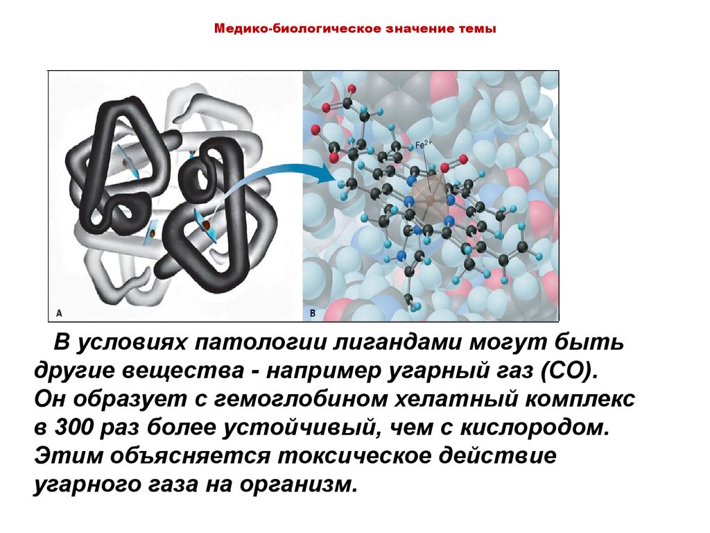 Реферат: Комплексные соединения, их биологическая роль (на примере хлорофилла и гемоглобина)