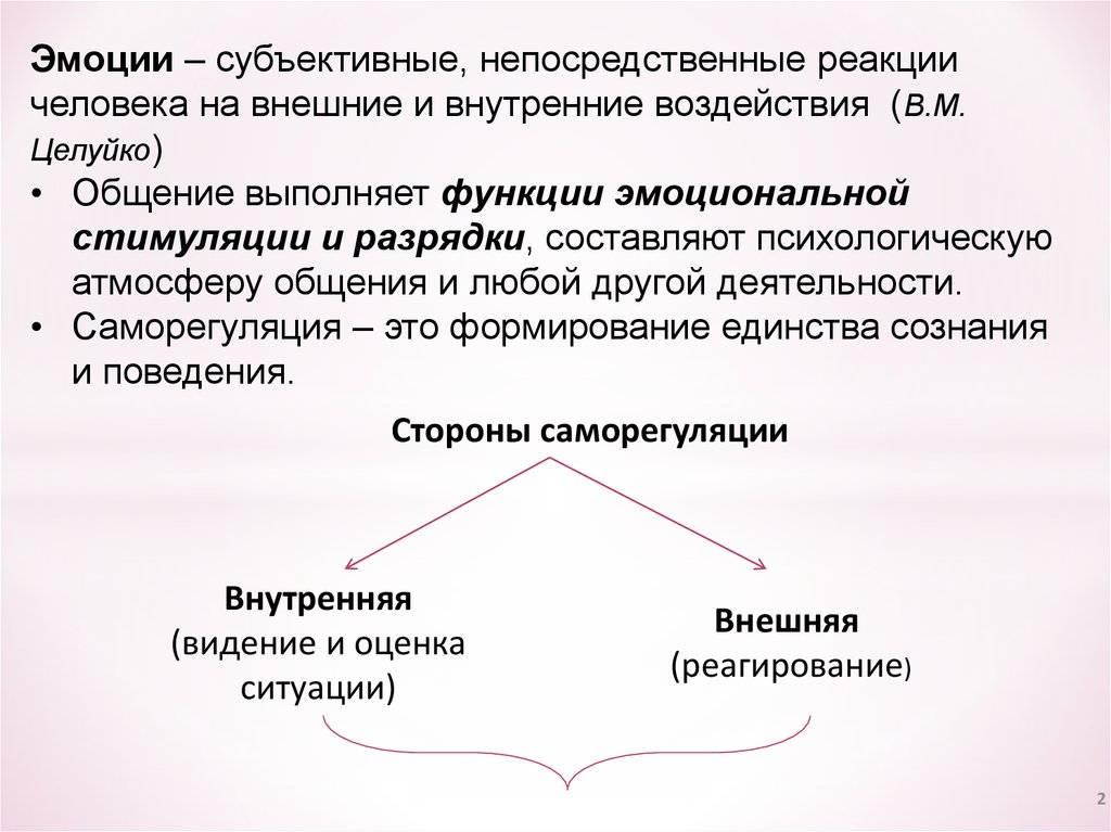 Канал дзен субъективные эмоции