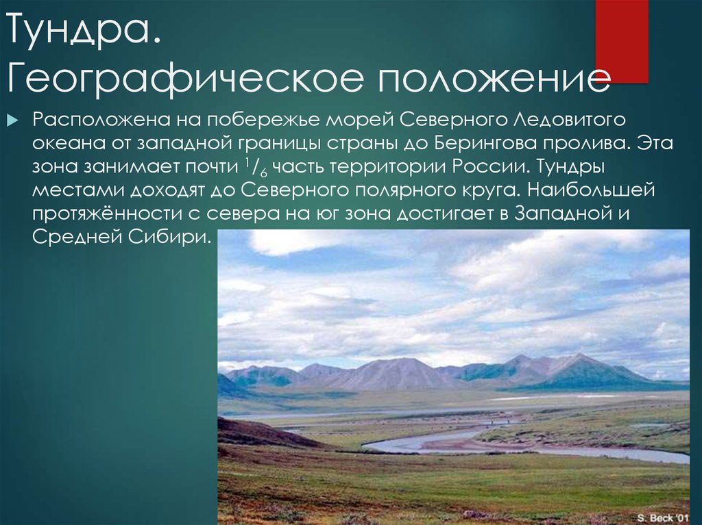 Описание природной зоны тундры по плану 6 класс