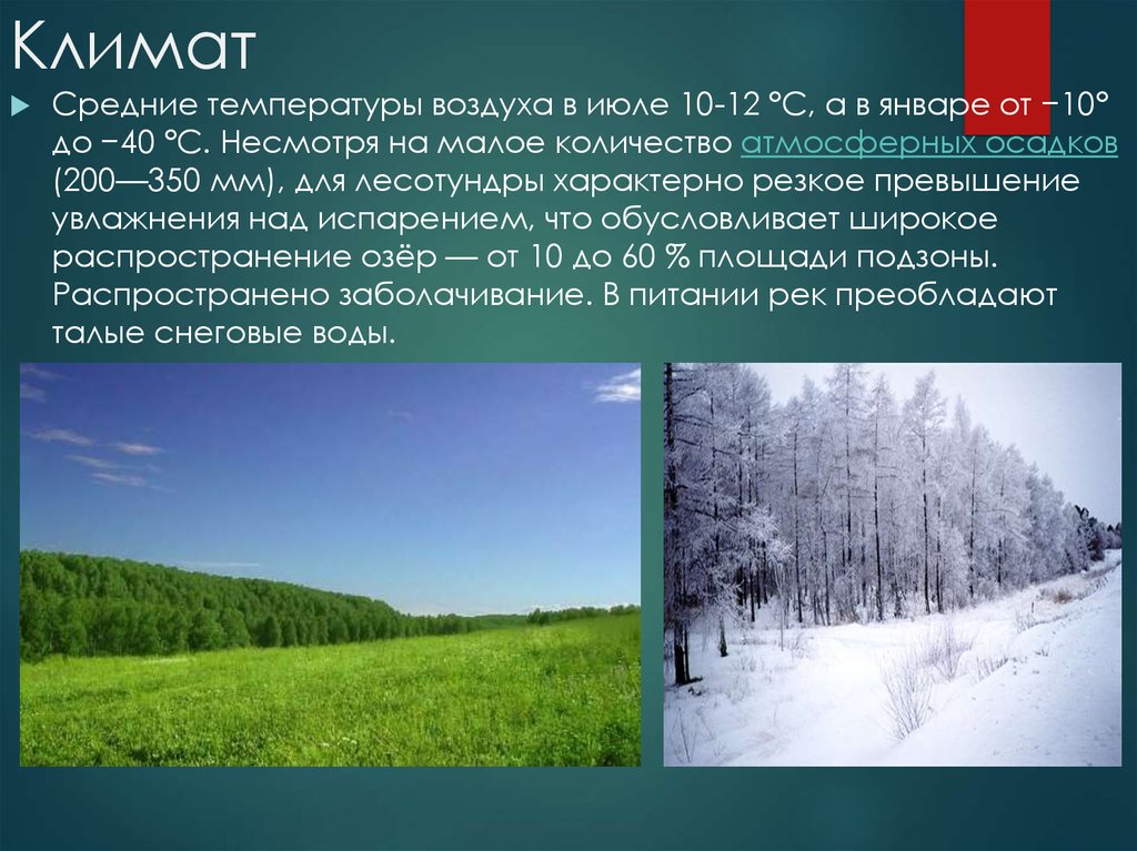 Январь июль. Климат лесотундры. Климат лесотундры в России. Лесотундра климат осадки. Климатические условия тундры и лесотундры.
