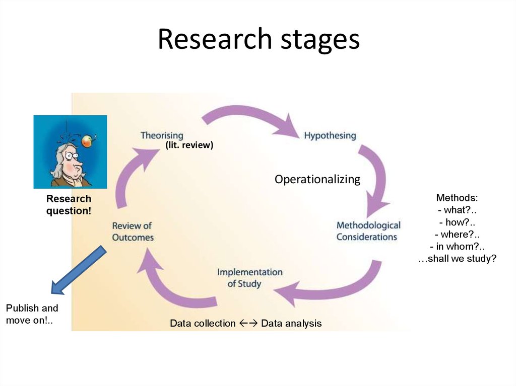 Stages of process. Research Stages. Denial Stages. Stages of xelography preparation. Metabism Stages.