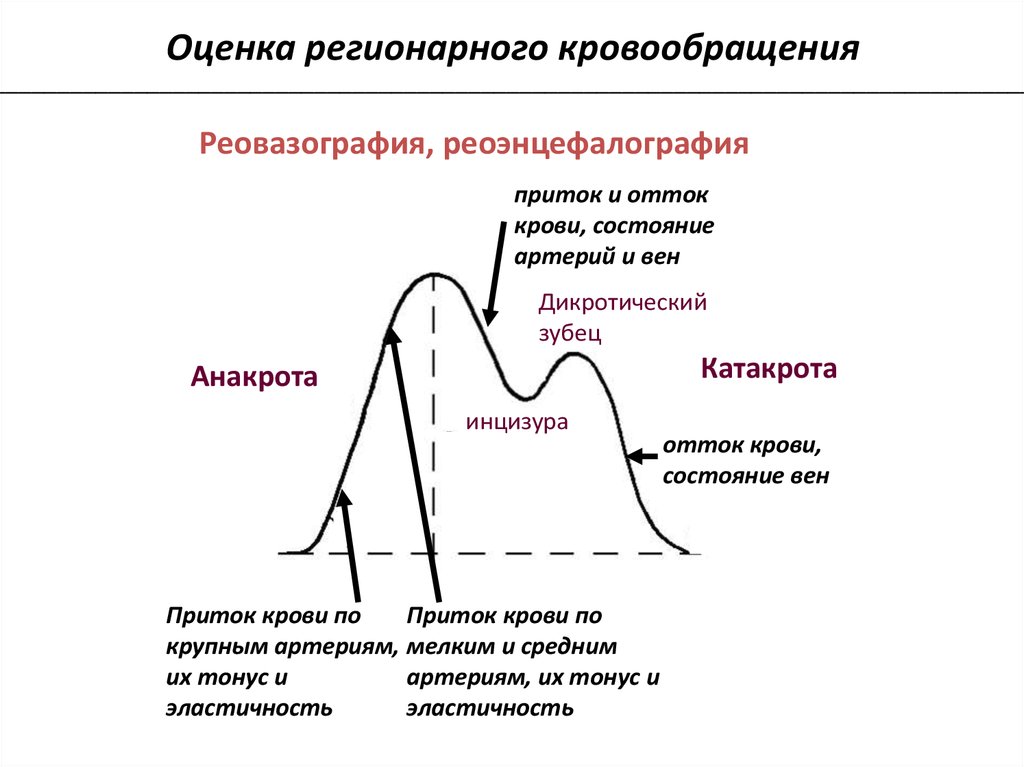 Тонус график