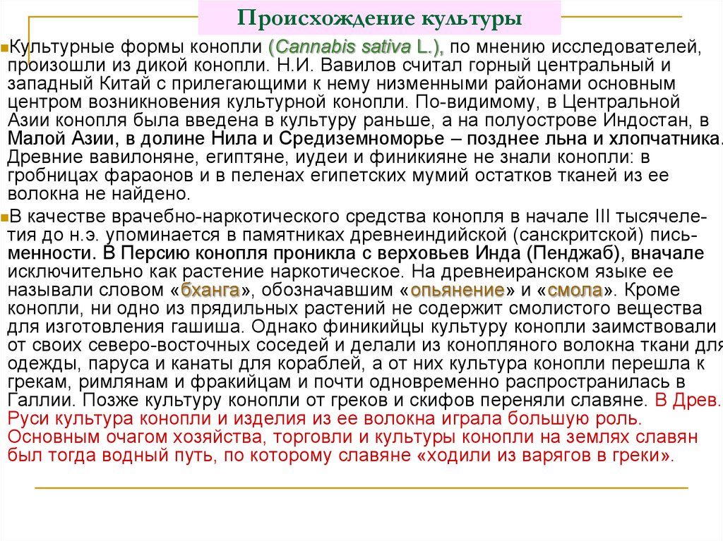 Происхождение культуры. Появление культуры. Возникновение культуры. Происхождение слова культура.